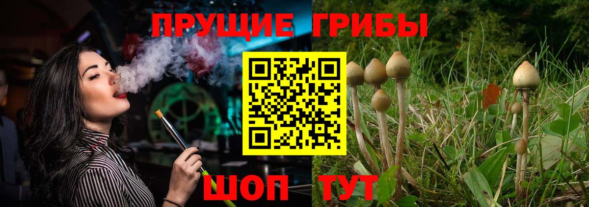 Галлюциногенные грибы Psilocybine cubensis Артёмовский