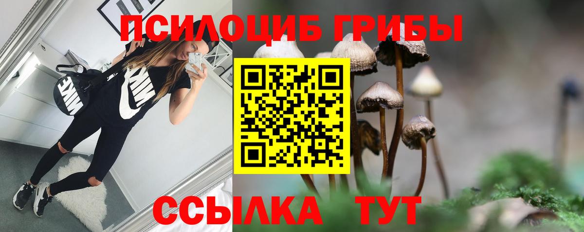купить  цена  Галлюциногенные грибы Psilocybe  Вход с VPN  Артёмовский  Псилоцибиновые грибы Magic Shrooms 